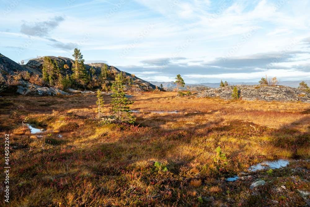 Autumn nature around Hjemmeluft in Alta, Finnmark, Norway