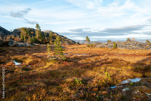 Autumn nature around Hjemmeluft in Alta, Finnmark, Norway