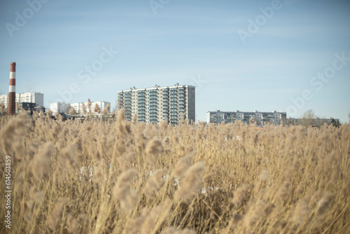 City view. Landscape in city. View of field. © Олег Копьёв