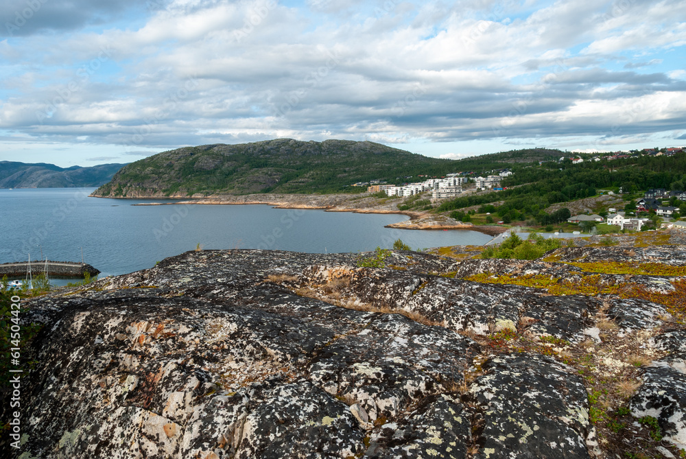 View of Alta town and Altafjorden, Finnmark, Norway