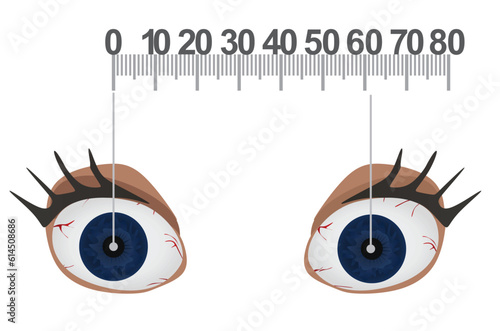 Measuring pupil distance on eyes. vector
