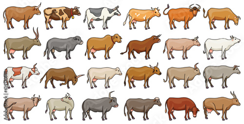 Fototapeta Naklejka Na Ścianę i Meble -  Cow of animal vector color set icon.Isolated color icon farm animal of cow.Vector illustration cattle for farm on white background.