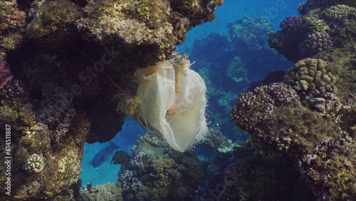 Plastic pollution, Close-up of plastic bag hanging on reef. An old white acrylic bag hung on coral reef and sways in current of water, Red sea, Egypt