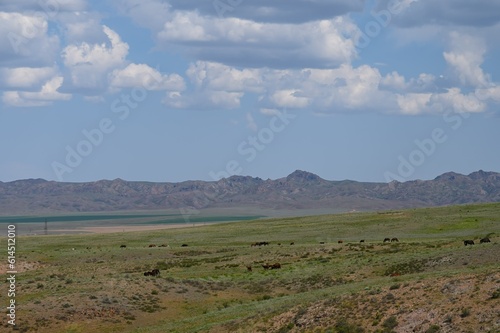 Archarly pass. View from top of the hills above the road connecting Kaochagay and Saryozek