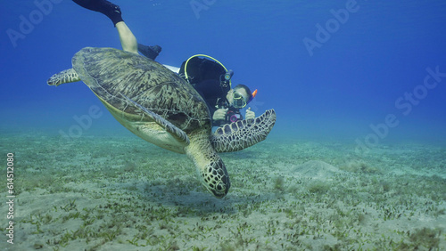 Scubadiver filming Sea Turtle swims down to seabed. Male aquanaut shoots video Green Sea Turtle (Chelonia mydas) dives on seagrass meadow, Red sea, Egypt
