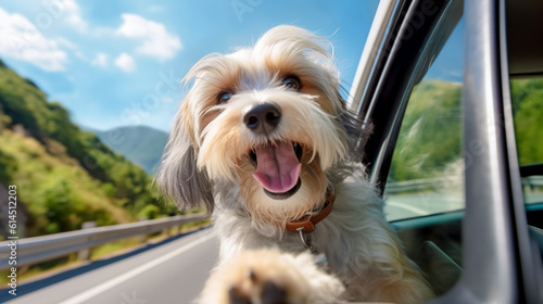 Funny happy dog looking out of the car window while traveling. AI generation