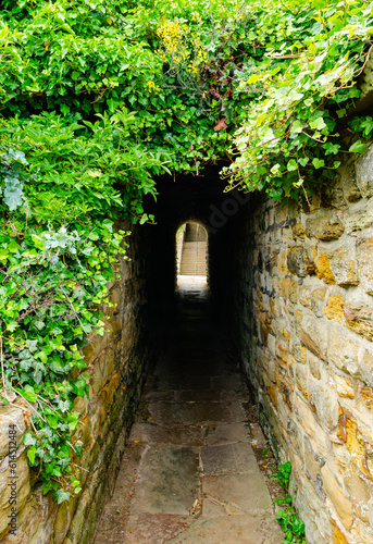 Fototapeta Naklejka Na Ścianę i Meble -  A walkthrough green passageway in the historic and mysterious town of Whitby where Dracula was written. 