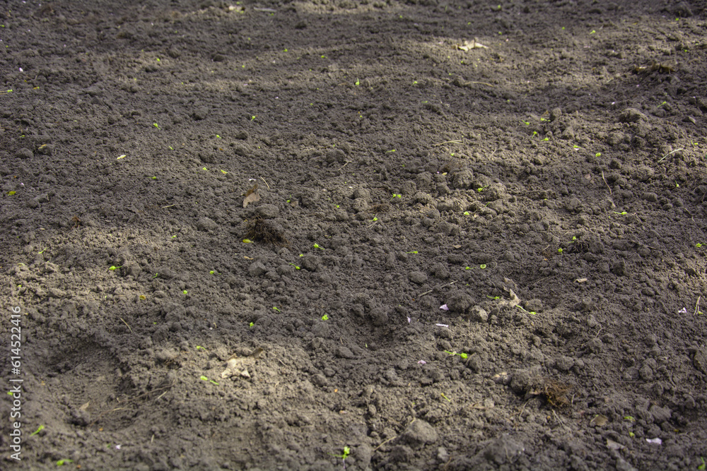 A large area of land for sowing on a large farm A large area of land for sowing on a large farm