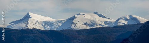 Photography scenic landscape photograph of the snowcapped mountains of Alaska from the ocean view