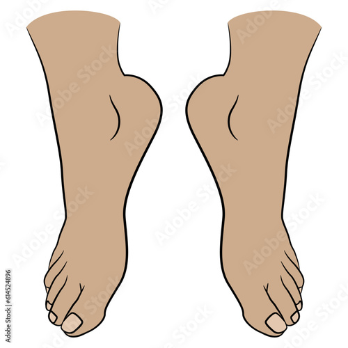 Two barefoot human feet standing on tiptoes. Cartoon style. Isolated vector illustration.