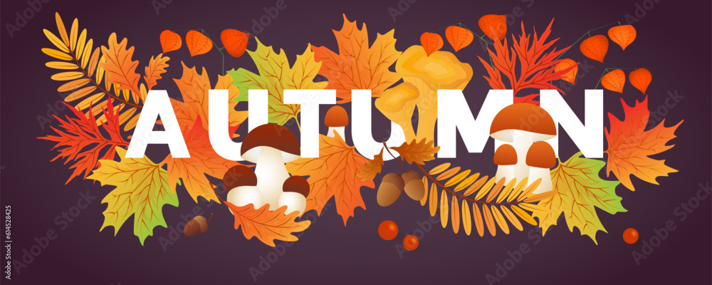 Hello autumn. Autumn leaves with mushrooms, cep, physalis. Sale banners, postcard, poster.