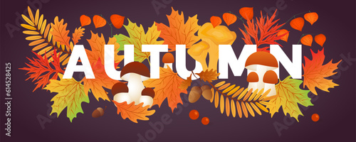 Hello autumn. Autumn leaves with mushrooms, cep, physalis. Sale banners, postcard, poster.