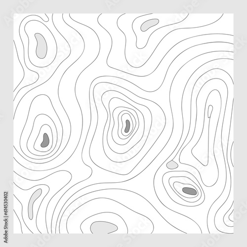 Vector abstract poster with swirls; The graphic illustration of topographic contour lines on white background