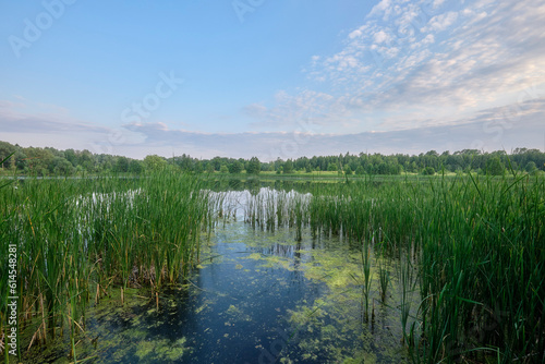 Fototapeta Naklejka Na Ścianę i Meble -  A calm day on the lake