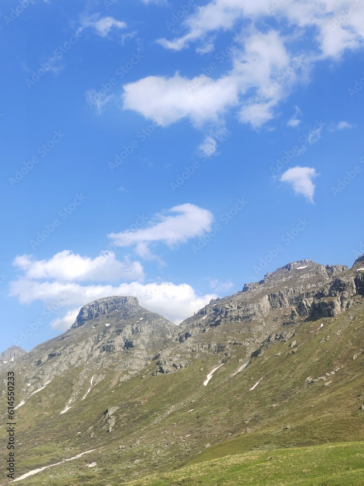 Obraz premium landscape in summer