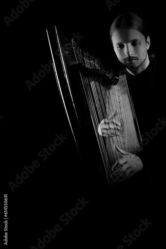 Canvastavla Irish Harp player. Harpist playing celtic harp acoustic music