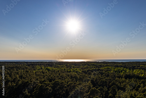 sunset over the sea and forest with green tones on top of the trees