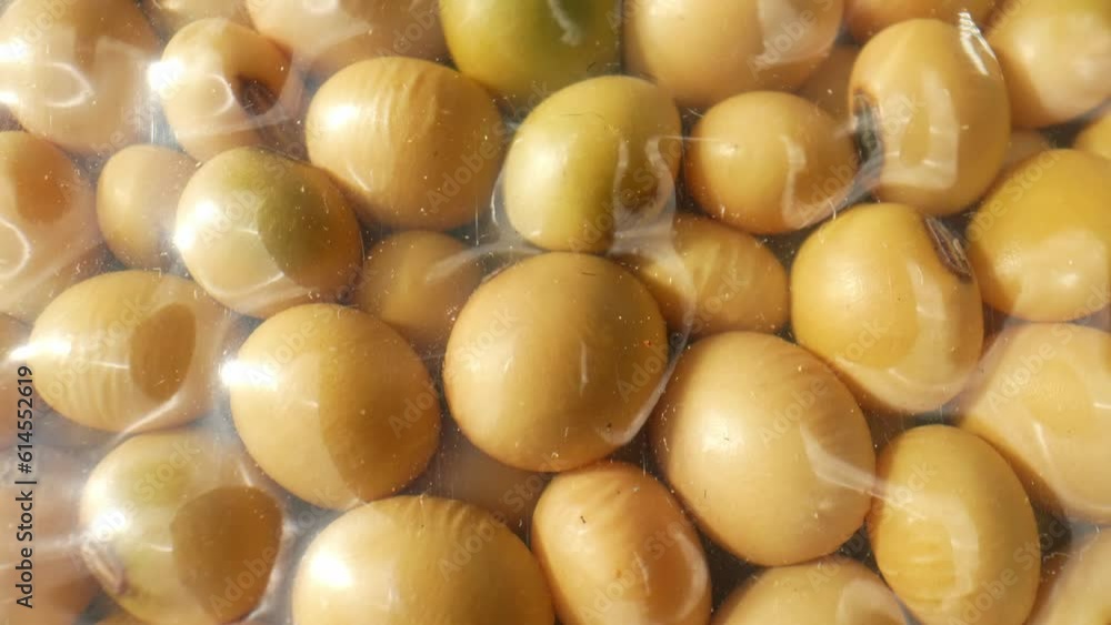 Mesmerizing macro video showcasing soybeans in vacuum-sealed bags. The beans glisten and form intricate patterns, encapsulating freshness and quality. Soybeans background. 4K HDR
Mesmerizing macro video showcasing soybeans in vacuum-sealed bags. The beans glisten and form intricate patterns, encapsulating freshness and quality. Soybeans background. 4K HDR