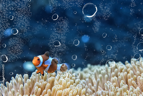 Photography air bubbles tropical aquarium ocean underwater background