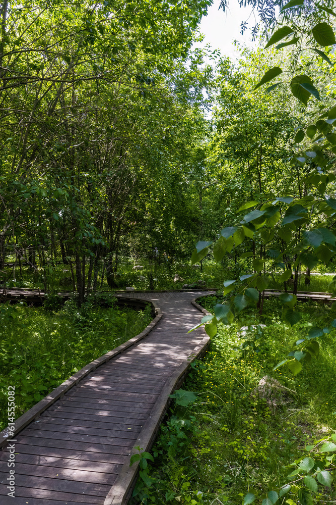 walking area with wooden pathway located in Huamin Park in Moscow walking area with wooden pathway located in Huamin Park in Moscow