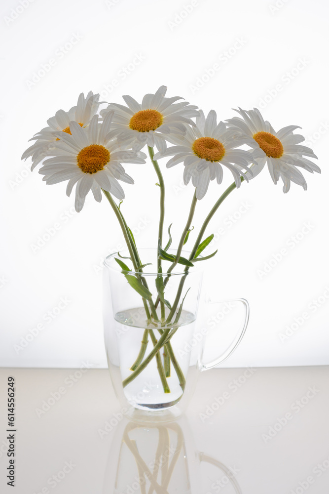 white daisies in a glass vase, a bouquet of daisies