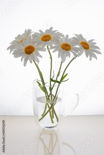 white daisies in a glass vase, a bouquet of daisies