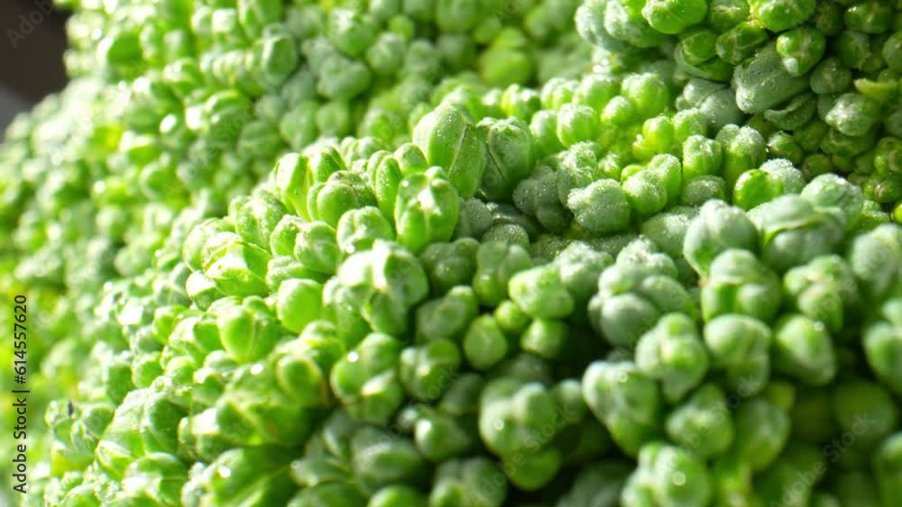 Captivating macro video of broccoli through a probe lens reveals intricate details: vibrant green florets, fractal patterns, and mesmerizing textures. Nature's artistry showcased in a single frame.
Captivating macro video of broccoli through a probe lens reveals intricate details: vibrant green florets, fractal patterns, and mesmerizing textures. Nature's artistry showcased in a single frame.
