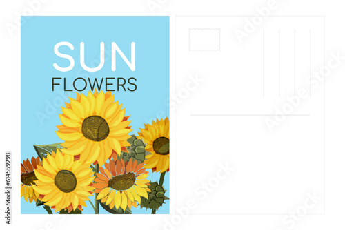 Postcard template Sunflowers on a blue background. Fields for address and stamp. Summer field of yellow flowers with text. Sunflower seeds. Painted in watercolor. Botany. Vector illustration