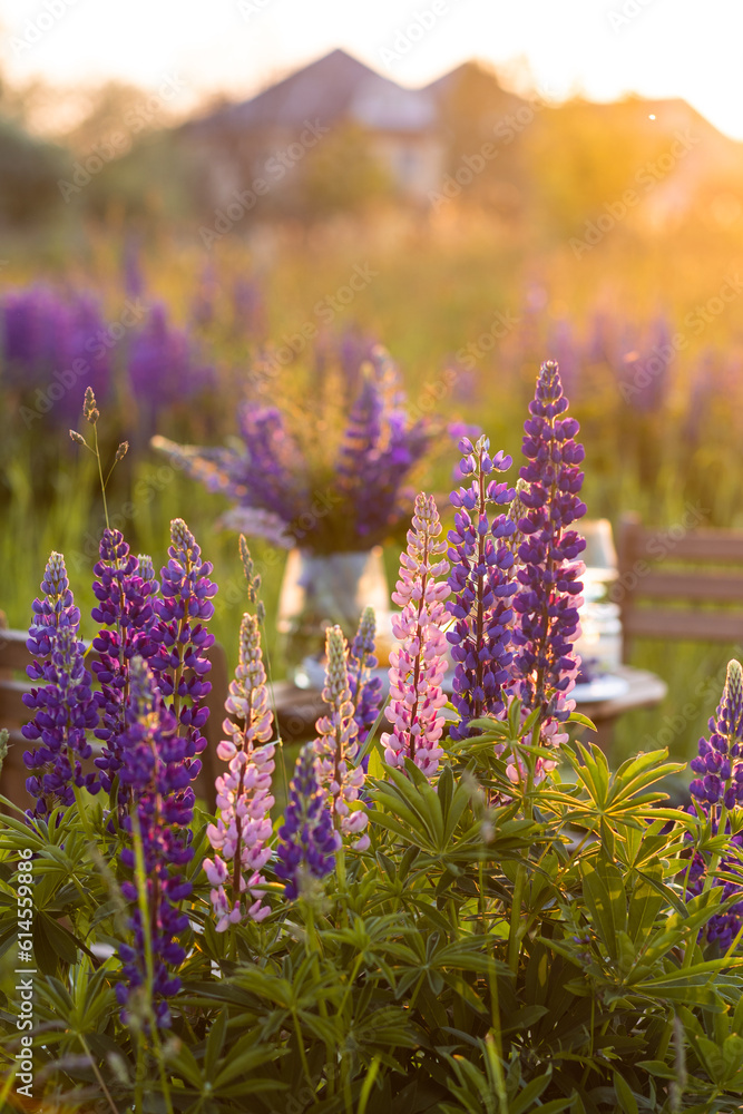 Obraz premium Romantic table decor for a loving couple on the blooming meadow with purple lupines. Two glasses of wine, flowers in a vase, silverware, fruits, wooden furniture and picnic basket. Sunset, golden hour