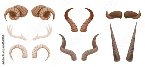 Diverse Collection Of Animal Horns, Featuring Various Shapes And Sizes. Perfect For Educational Purposes, Crafts