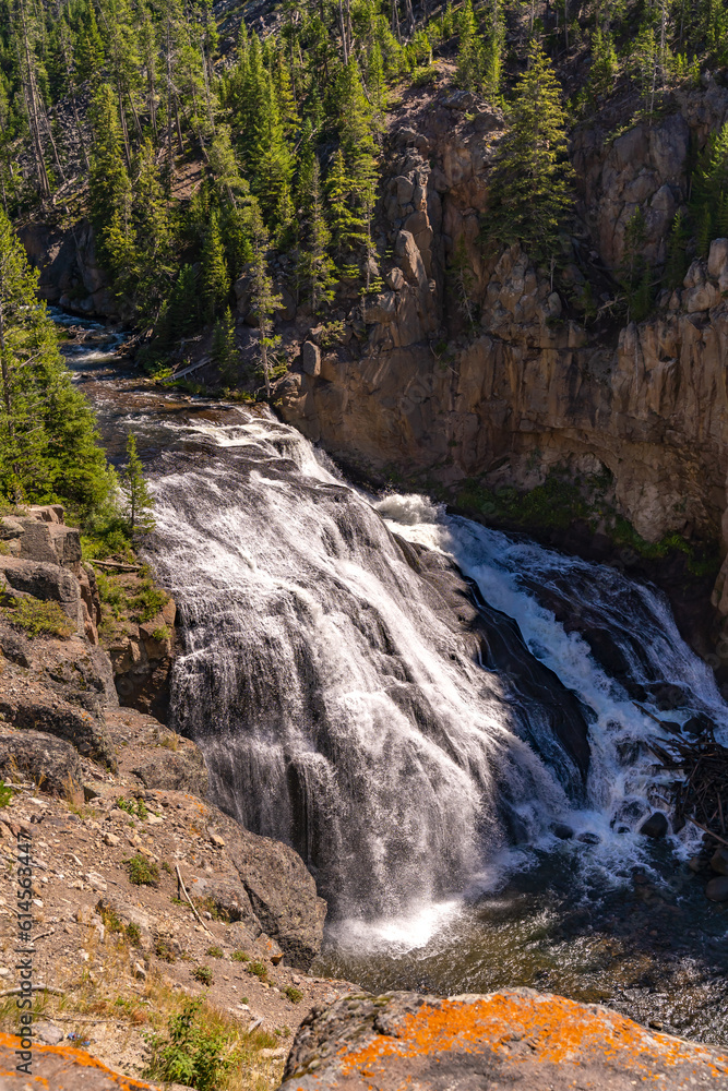 Obraz premium Gibbon Falls, Yellowstone National Park.