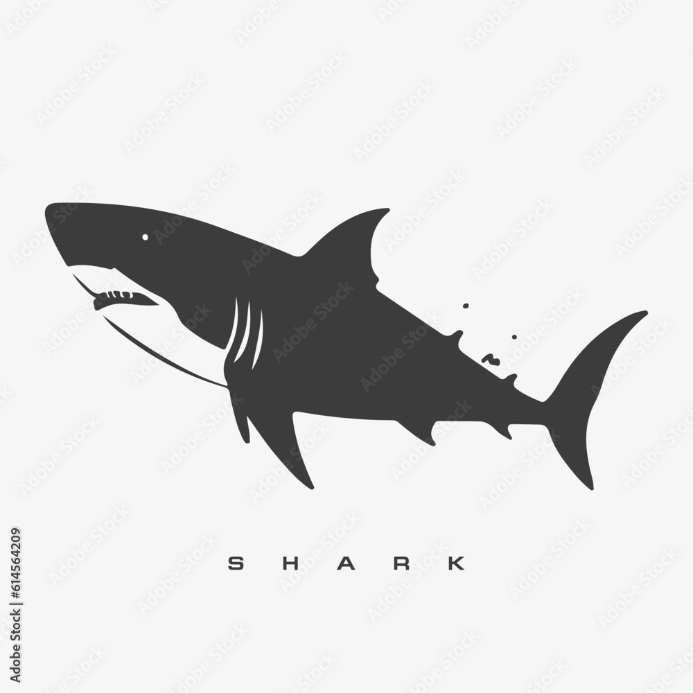 Obraz premium Modern vector shark logo template.