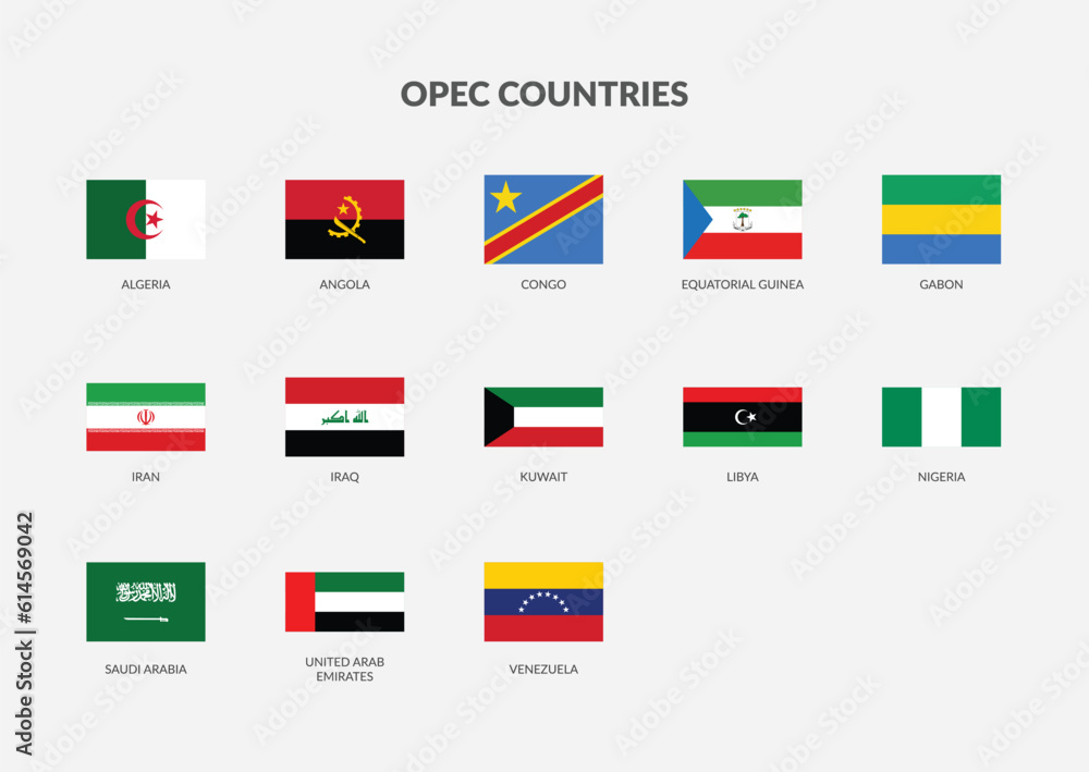 OPEC Countries (Organisation of the Petroleum Exporting Countries) Rectangle flag icon collection.
