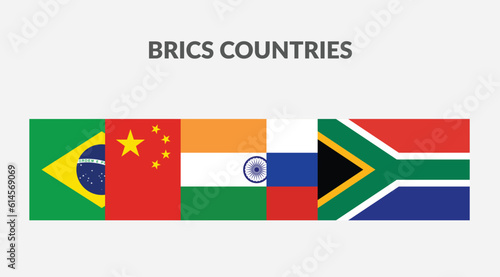 BRICS Countries Rectangle flag icon collection.