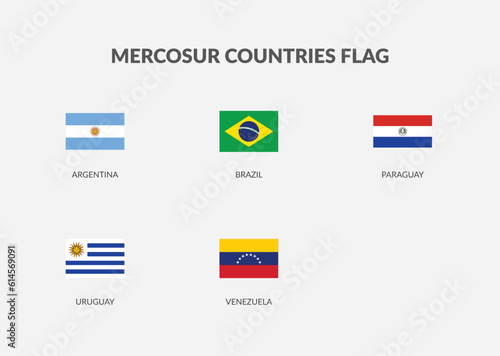 Mercosur Countries Rectangle flag icon set. photo