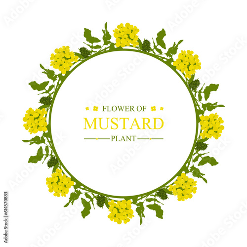 Round floral frame with flower of mustard plant and leaves. Circle frame decorated with mustard plants isolated on white background. Colorful design element with place for text. Vector illustration