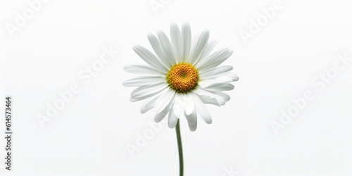 A single white daisy flower with a yellow center. Generative AI.