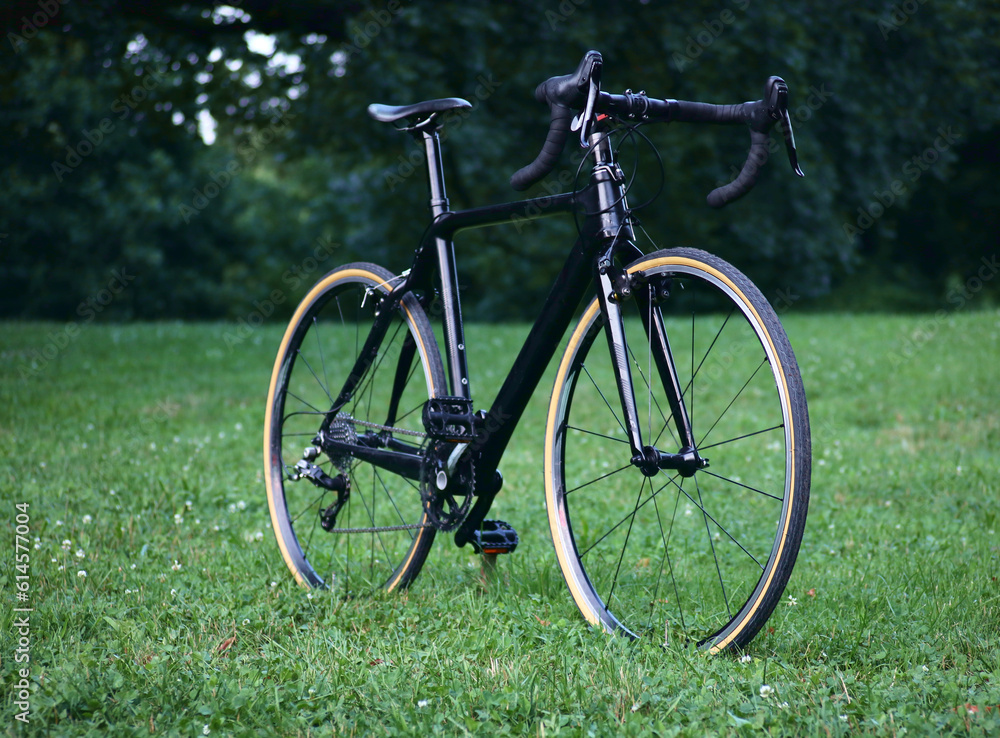 black bicycle in field of grass (modern road bike with drop handlebars, skinwall tires) cyclocross gravel bike monotone, sleek, fresh build (700c wheels, double crankset, cantilever brakes, shifters) black bicycle in field of grass (modern road bike with drop handlebars, skinwall tires) cyclocross gravel bike monotone, sleek, fresh build (700c wheels, double crankset, cantilever brakes, shifters)
