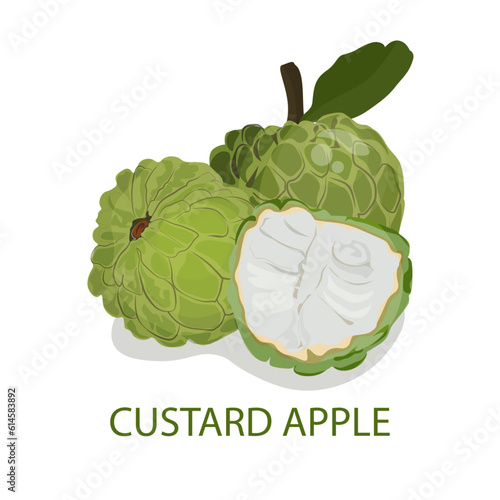 custard apples with a half sliced in flat style, vector illustration, eps 10