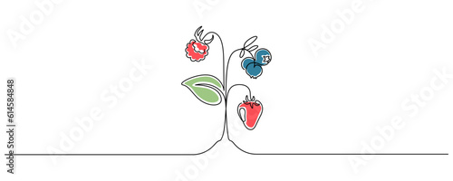 Berries on plant in one continuous line drawing. Fruit and strawberries in simple linear style. Label for jam and yogurt banner in editable stroke. Doodle outline vector illustration