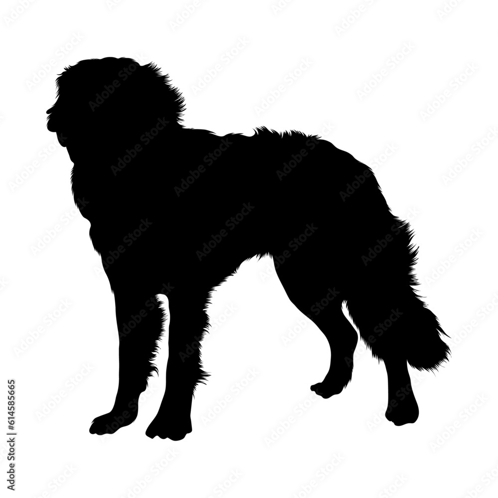 Standing Saint Bernard Silhouette. Good To Use For Element Print Book, Animal Book and Animal Content Standing Saint Bernard Silhouette. Good To Use For Element Print Book, Animal Book and Animal Content