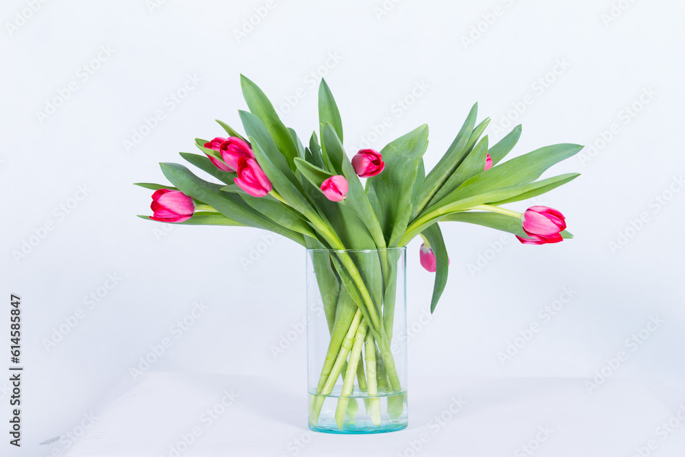 custom made wallpaper toronto digitalBeautiful flowers in a vase on a white background. Very clear picture.