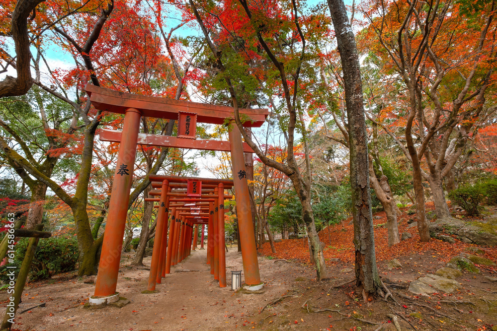 Fukuoka, Japan - Nov 30 2022: Homangu Kamado shrine located at Mt. Homan, venerated from ancient times as a sacred mountain, the shrine probably the inspiration for Kimetsu no Yaiba: Demon Slayer