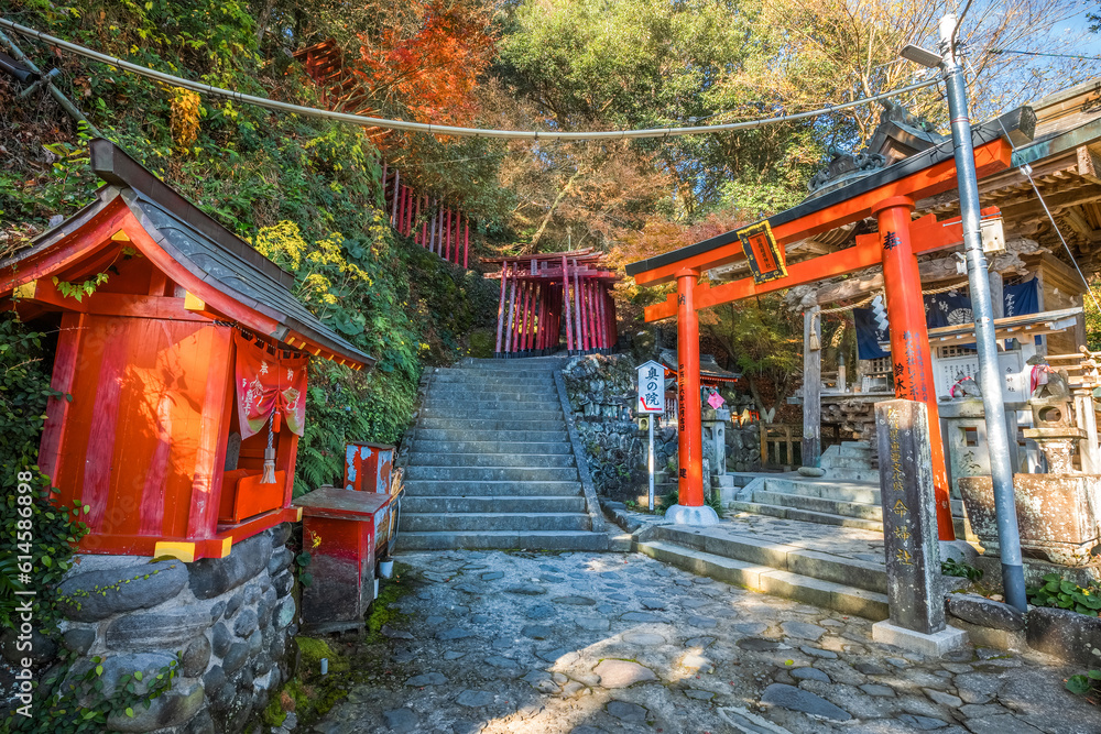 Saga, Japan - Nov 28 2022: Yutoku Inari shrine in Kashima City, Saga Prefecture. It's one of Japan's top three shrines dedicated to Inari alongside Fushimi Inari in Kyoto and Toyokawa Inari in Aichi Saga, Japan - Nov 28 2022: Yutoku Inari shrine in Kashima City, Saga Prefecture. It's one of Japan's top three shrines dedicated to Inari alongside Fushimi Inari in Kyoto and Toyokawa Inari in Aichi