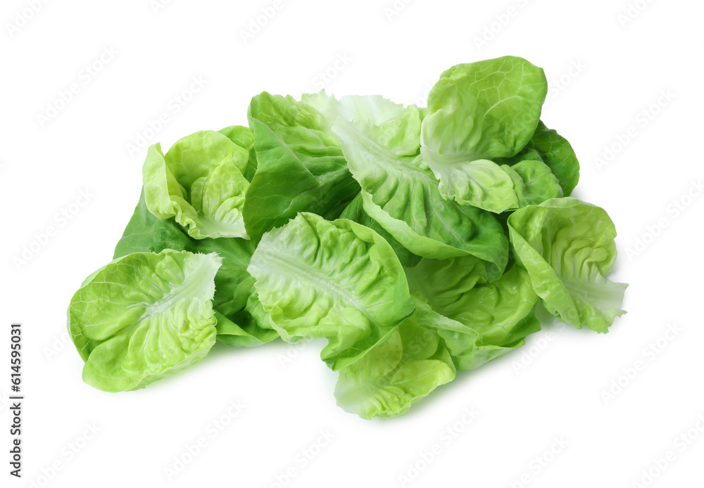 Fresh green butter lettuce leaves isolated on white, top view Fresh green butter lettuce leaves isolated on white, top view