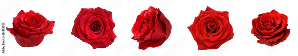 Set with red rose buds isolated on white Set with red rose buds isolated on white