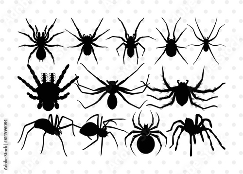 Spider Silhouette, Spider SVG, Arachnid Svg, Spider Web Svg, Cobweb Svg, Spooky Spider Svg, Spider Bundle, SB00323 © ETC Craft