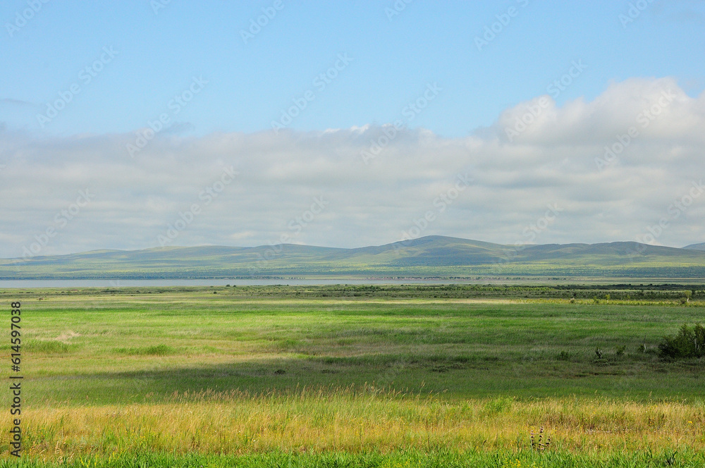 Naklejka premium A huge boundless steppe with tall yellowed grass at the foot of a mountain range on a cloudy summer day.