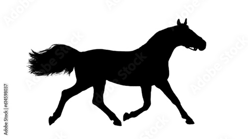 Running horse black silhouette. Horse silhouette. Animal silhouette 