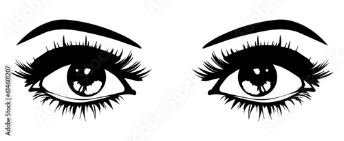 A pair of eye vector with eyelashes and eyebrows vector graphic.